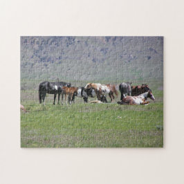 Puzzle - Anstrichene Pferde