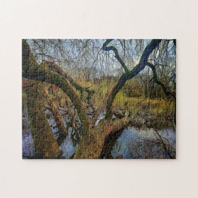 Puzzle “Árboles del agua – Parque en Ámsterdam” (Horizontal)