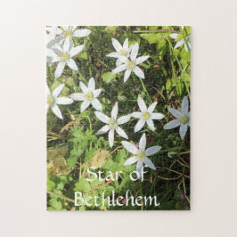 Puzzle aus 252 Stück