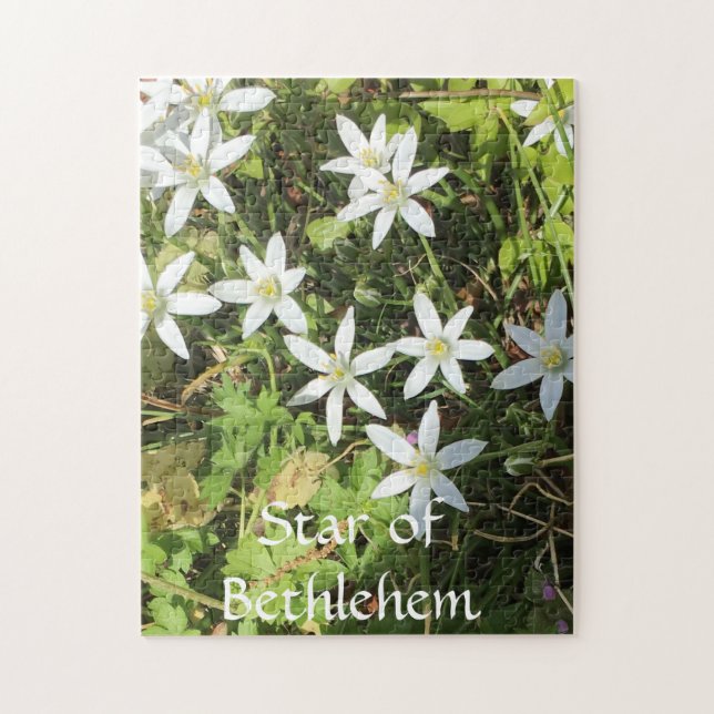 Puzzle aus 252 Stück (Vertikal)