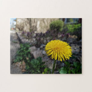Puzzle aus Blume Foto, kreativ