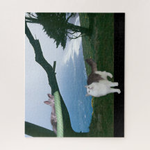 Puzzle - Aus dem Fenster