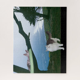 Puzzle - Aus dem Fenster