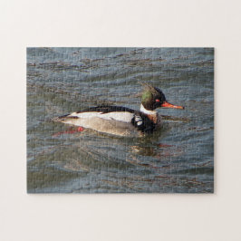 Puzzle aus Red Breasted Merganser
