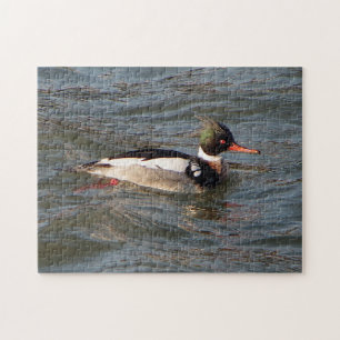 Puzzle aus Red Breasted Merganser