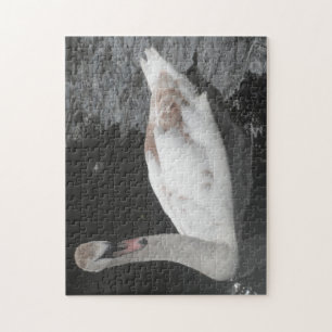 Puzzle Baby Schwan Schwimmen