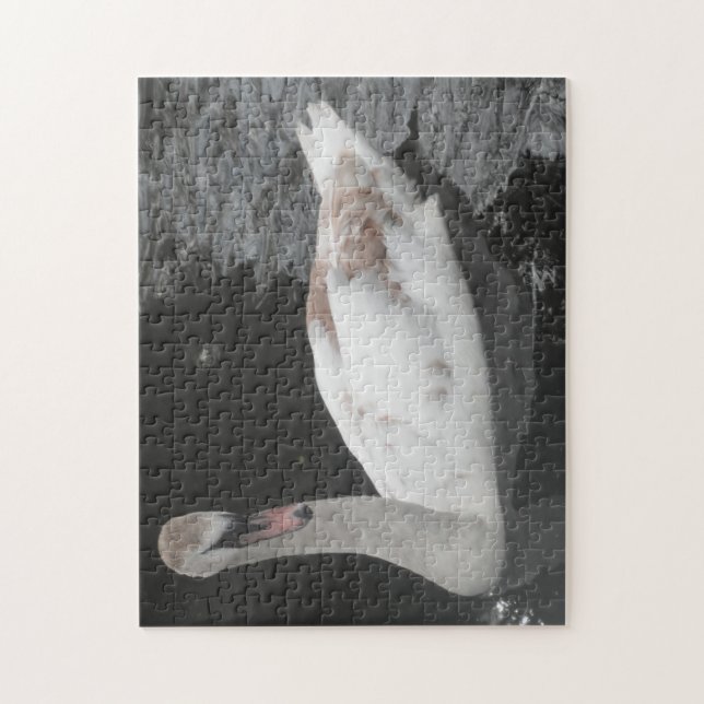 Puzzle Baby Swan schwimmen (Vertikal)