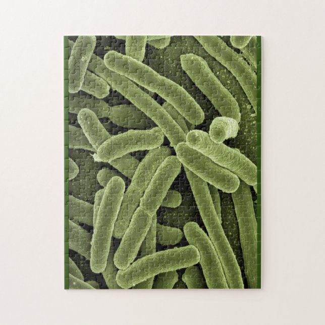 Puzzle bakterias e.coli microscopio (Vertikal)