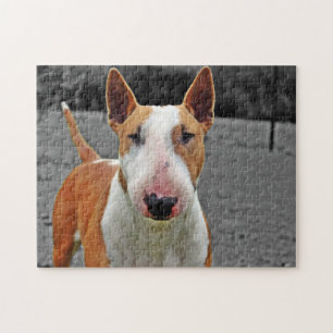 Puzzle - bull terrier-Design