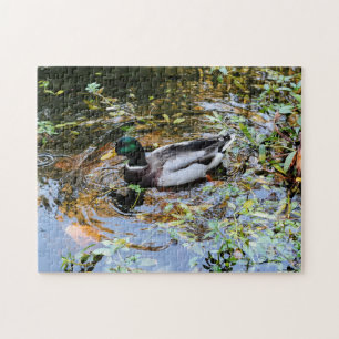 Puzzle con anatra nello stagno Duck Puzzle im