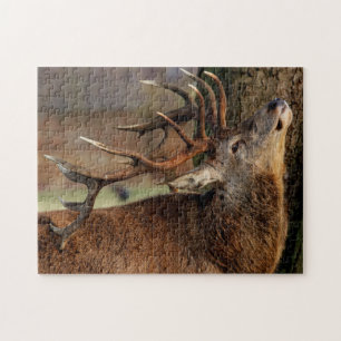 Puzzle-Deer Puzzle
