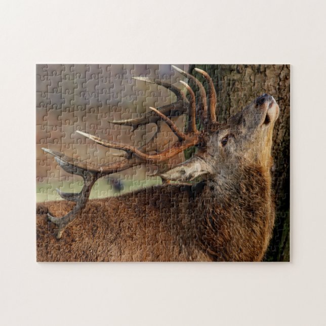 Puzzle-Deer Puzzle (Horizontal)