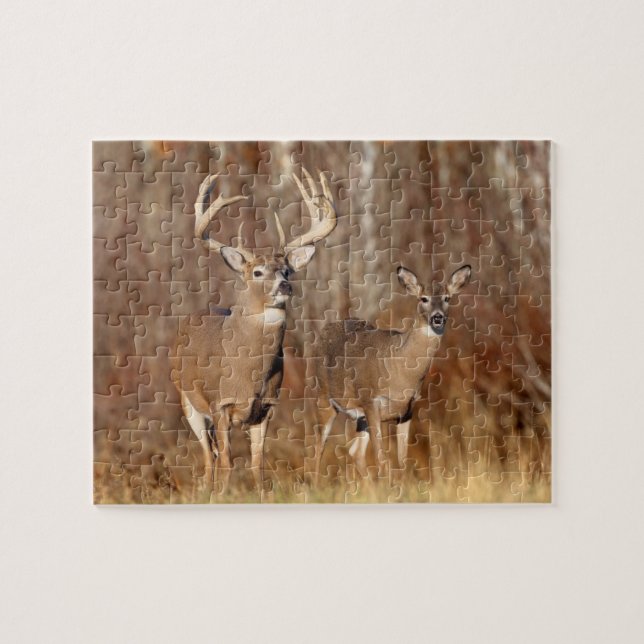 Puzzle-Deer Puzzle (Horizontal)