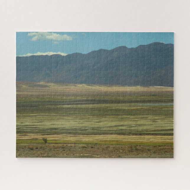 Puzzle der gestrichenen Wüste (Horizontal)