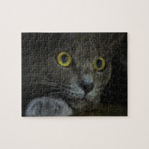 Puzzle der Intensität