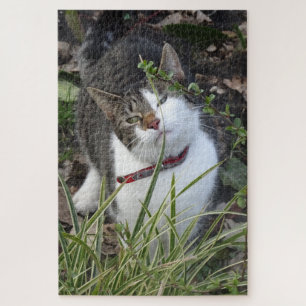 Puzzle der niedlichen grauen Katze