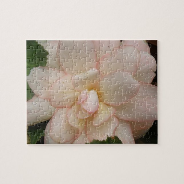 Puzzle der weißen Begonia-Blume (Horizontal)