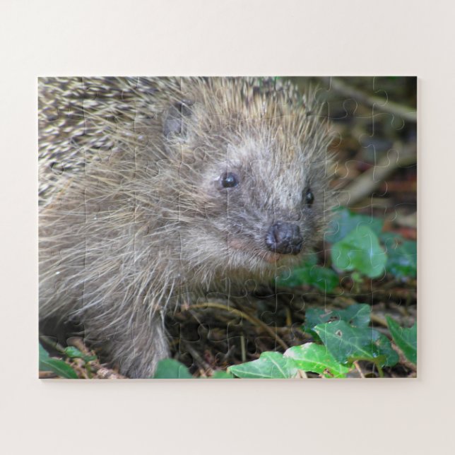Puzzle der Wildtiere: Niedlicher Igel (Horizontal)
