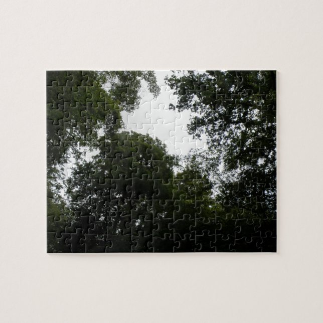 Puzzle des Creepy Forest (Horizontal)