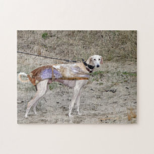 Puzzle des Lurcher