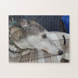 Puzzle des Windhunds