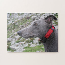 Puzzle des Windhunds (p105) Casey