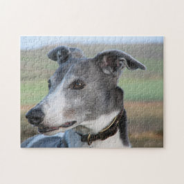 Puzzle des Windhunds (p347)