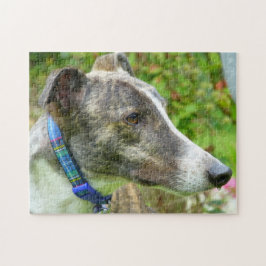 Puzzle des Windhunds (p400) Harley