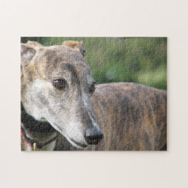 Puzzle des Windhunds (p401) Alice