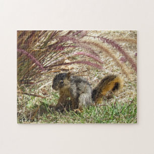 Puzzle - Eichhörnchen im Schatten