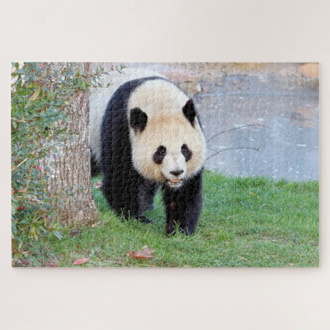 Puzzle Foto Riesenpanda , Tiere 0340. (Horizontal)