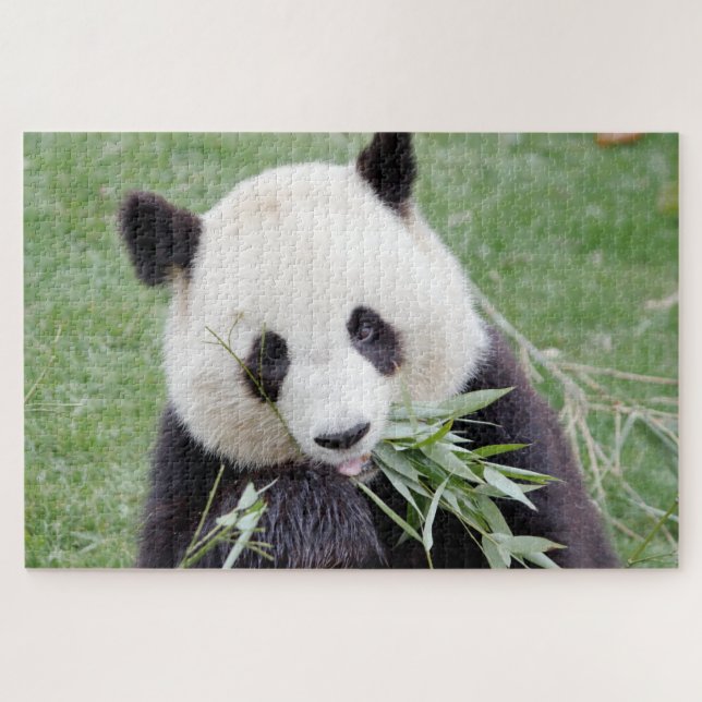 Puzzle Foto Riesenpanda , Tiere 0342. (Horizontal)