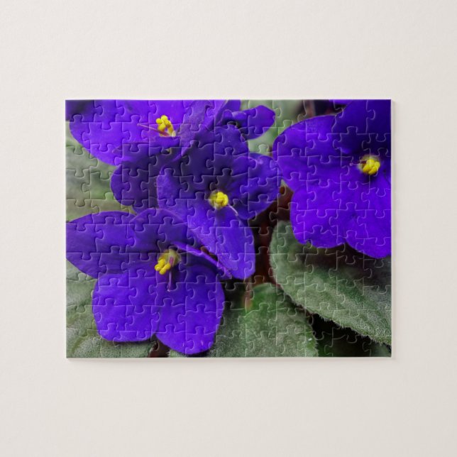 Puzzle für afrikanische Violett-Blume (Horizontal)