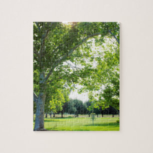 Puzzle für eine anspruchsvolle Disc Golf Tree