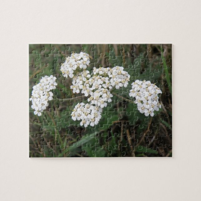 Puzzle für weiße Wildblumen (Horizontal)