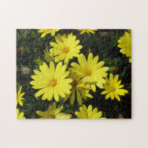 Puzzle - Gelbe Daisien