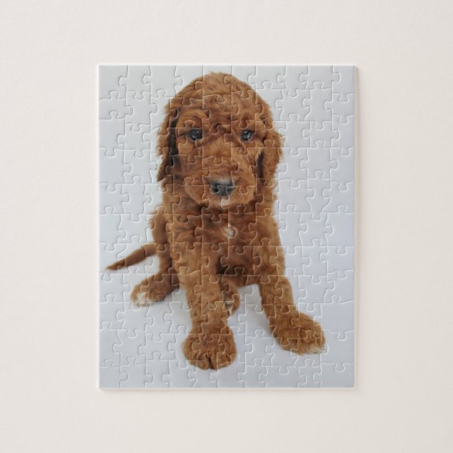 Puzzle Goldendoodle Welpen (Vertikal)