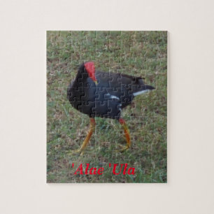 Puzzle-Hawaii-Vogel Puzzle