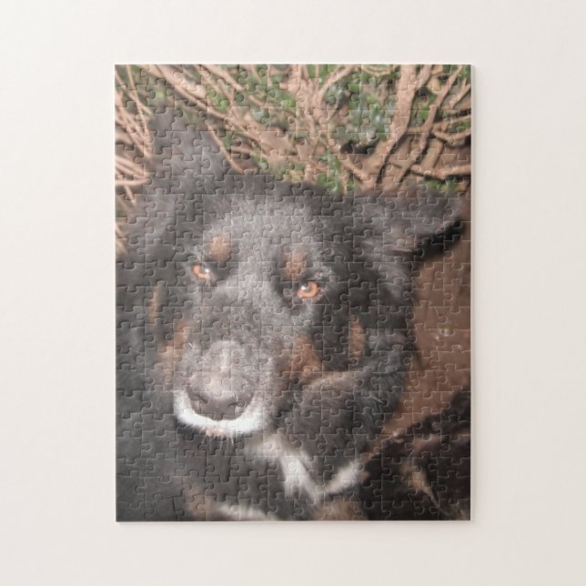 Puzzle Husky Cross Brown Eyes (Vertikal)