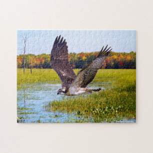 Puzzle "Lord of the Marsh"