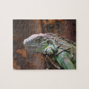 Puzzle mit farbenfroher Iguana-Eidechse