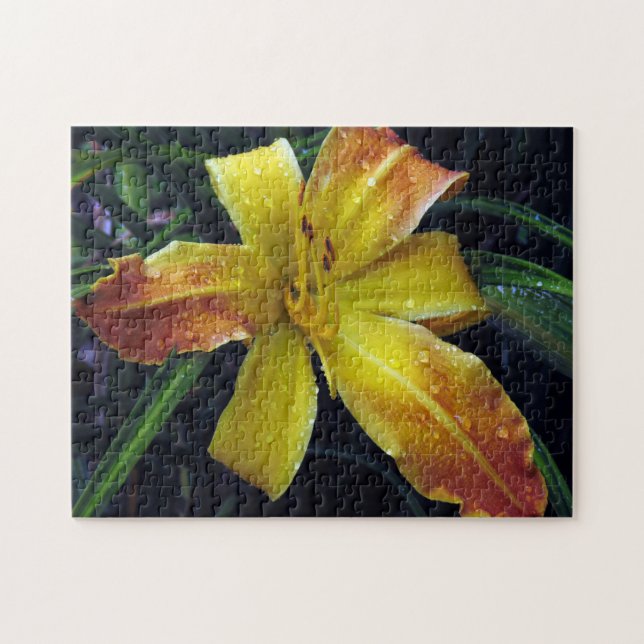 Puzzle mit kreativen Mustern (Horizontal)