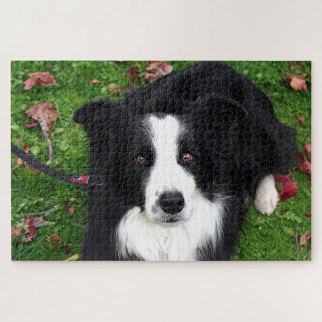 Puzzle mit schwarzem und weißem Schafhund (Horizontal)