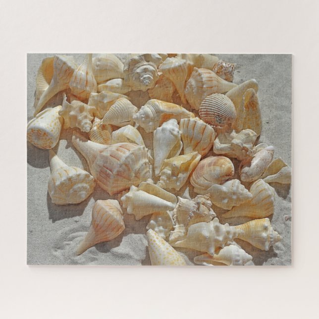 Puzzle - Muscheln am Strand (Horizontal)