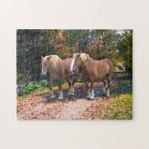 Puzzle "Napoleon & Josephine"