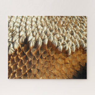 Puzzle - Naturgeometrie in Sonnenblumen