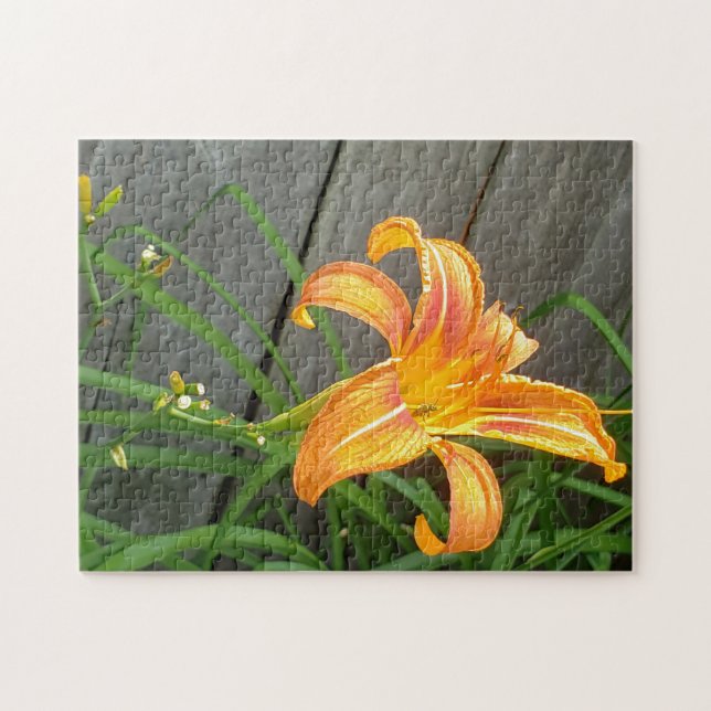 Puzzle Orange Taglilie Blume (Horizontal)
