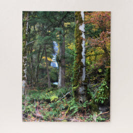 Puzzle Oregon Forest Jigsaw