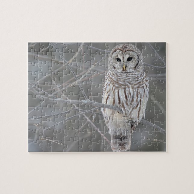 Puzzle Owl Puzzle (Horizontal)