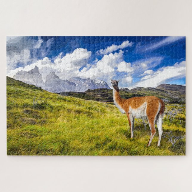 Puzzle Patagonia (Horizontal)